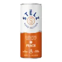 STELZ HIT PEACH CAN 12X25CL