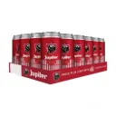 JUPILER BLIK 24 X 50CL