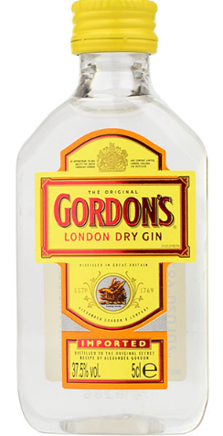 GORDONS GIN 12X5CL