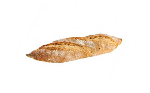 FV GALLEGA BAGUETTE RUSTIEK 21X295GR <*_*> (C799C)