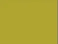 GAUTIER PLACEMAT GROEN/OLIVE 500ST(30X39CM)