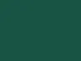 GAUTIER PLACEMAT FOND GROEN 500ST(30X39CM)