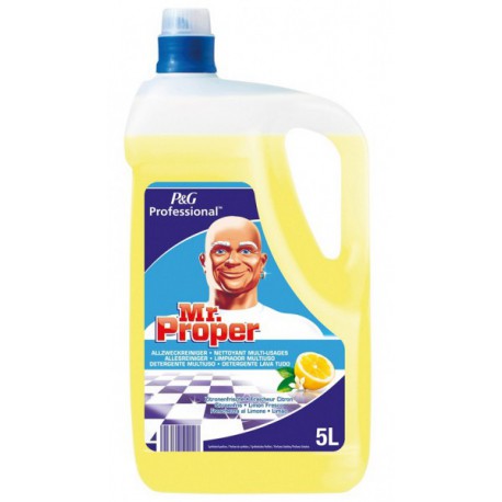 [91611] MR PROPER LEMON 5L (3)