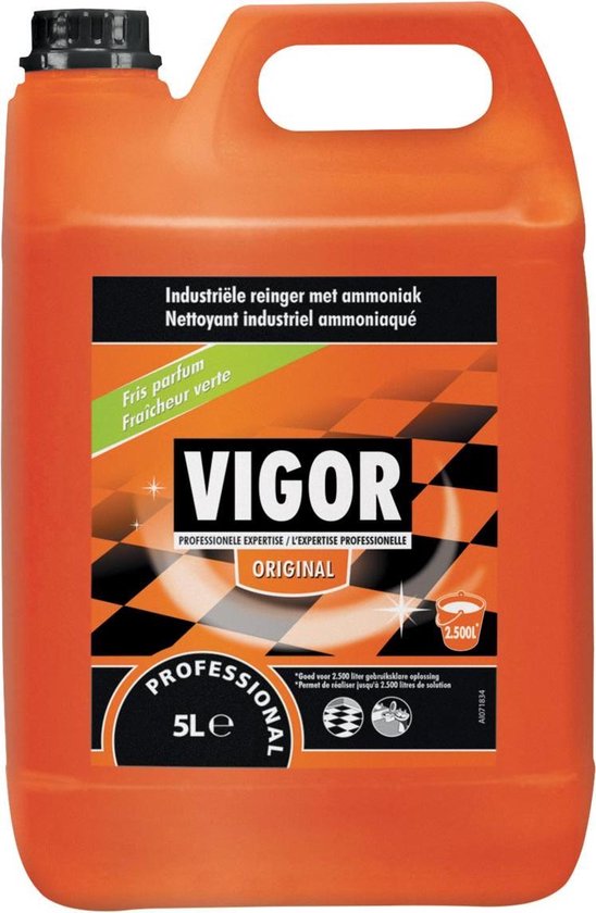 VIGOR 10L