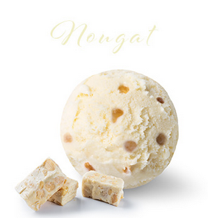 PAGOTINI NOUGAT MONTELIMARE 2.5L     <*_*>