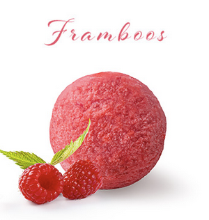 PAGOTINI SORBET FRAMBOOS 2.5L     <*_*>