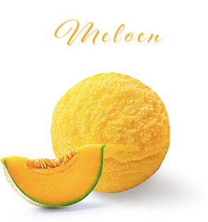 PAGOTINI SORBET MELOEN 2.5L     <*_*>