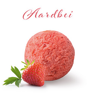 PAGOTINI SORBET AARDBEI 2.5L     <*_*>