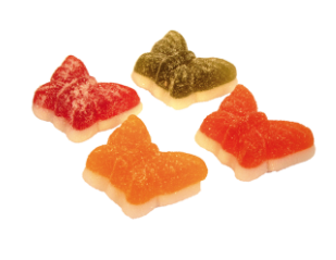 ELJO PAPILLONS EN PATE DE FRUIT 2,5 KG