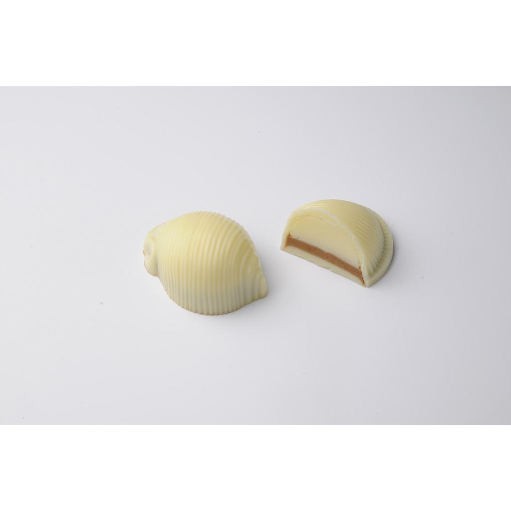 [MDD0021] DELICE 21 ESCARGOT WIT 1KG