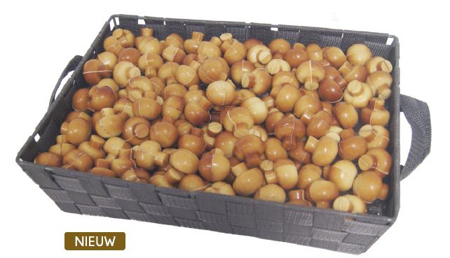 BGL BAKJE CHAMPIGNONS MARBRE 3KG