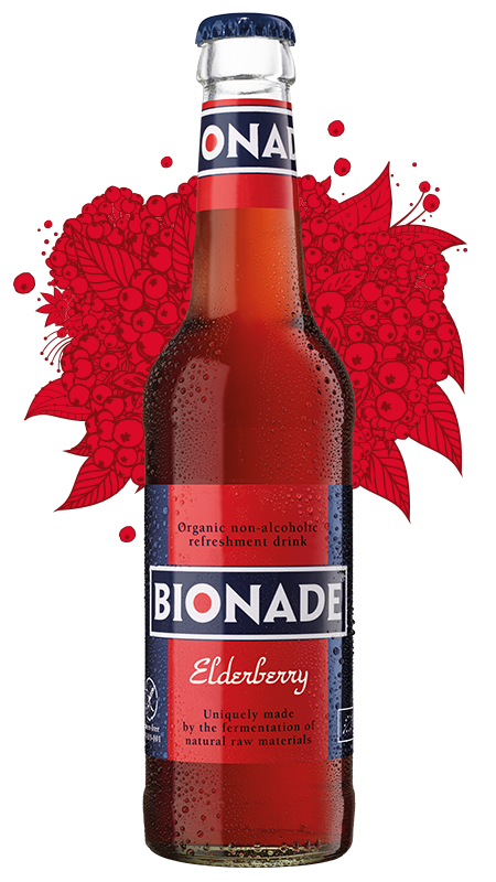 [JET/11182001] BIONADE VLIERBESSEN 24X33CL OW