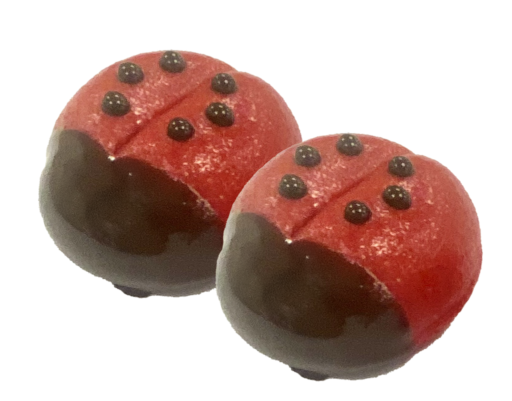 [245] NOMAER MARSEPEIN COCCINELLE 42 PCS ( 1,125KG ) 