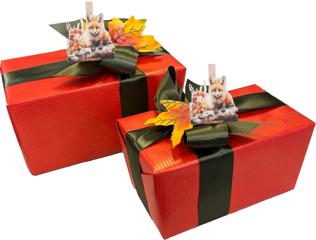 DELICE BALLOTIN PRALINES 250 GR  HERFST DECO