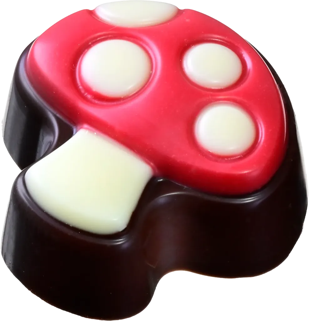 [MDV6324] M-DELICIOUS CHAMPIGNON NOIR PRALINE 1,62 KG