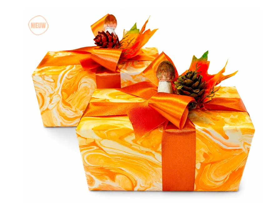 [DC081HER] DELICE BALLOTIN PRALINES 375 GR X 5 STUKS HERFST DECO