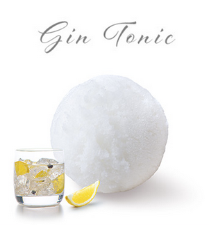 PAGOTINI SORBET GIN TONIC 2,5 L <*_*>