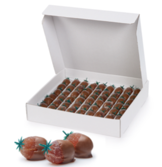 CONFIDAS PÂTE DE FRUITS AARDBEI MET MELKCHOCOLADE 1,62KG