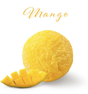 PAGOTINI SORBET MANGO 2,5 L  <*_*>