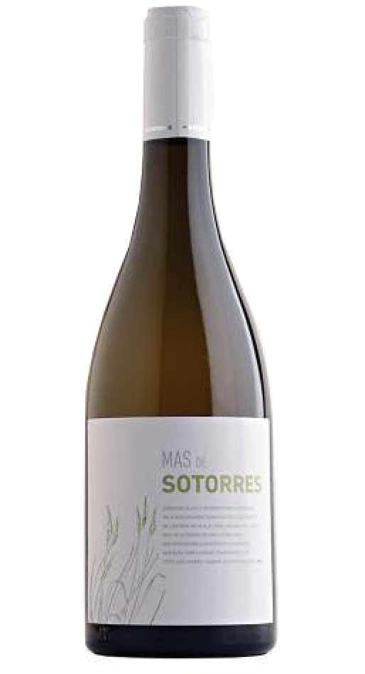 MAS DE SOTORRES TERRA AKTA 75CL