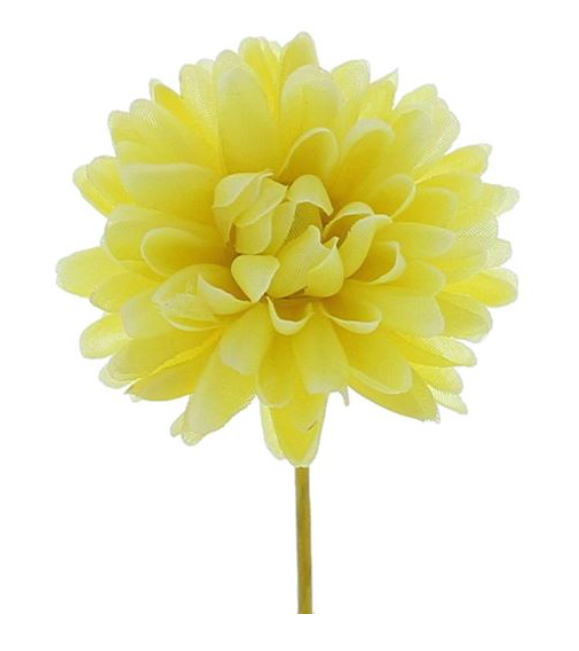 #VERP - DAHLIA GEEL 12 ST