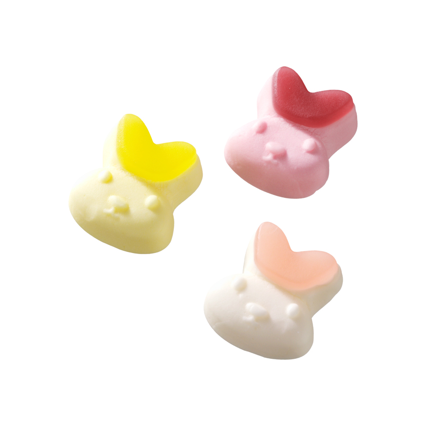 ASTRA TÊTES DE LAPIN 3 KG 