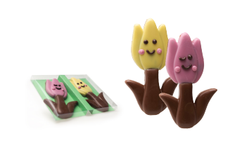 DE CHOCOLATERIE TULIP GIRLS 12ST X 2X50GR