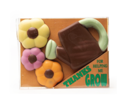 DE CHOCOLATERIE ThanksForHelpingMeGrow 12X150GR 