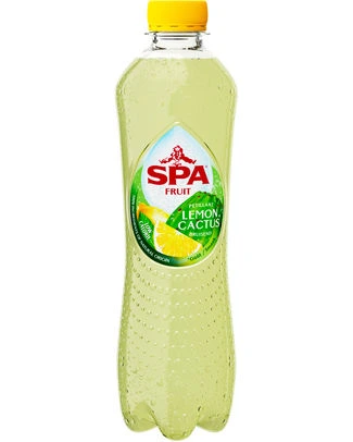 SPA & FRUIT LEMON CACTUS 4 X 6 X 40 CL