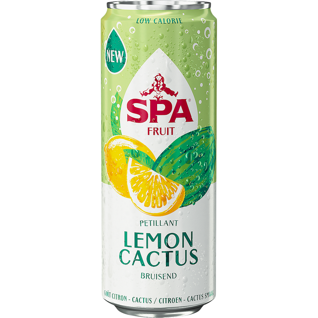 SPA & FRUIT LEMON CACTUS 6 X 4 X 25 CL