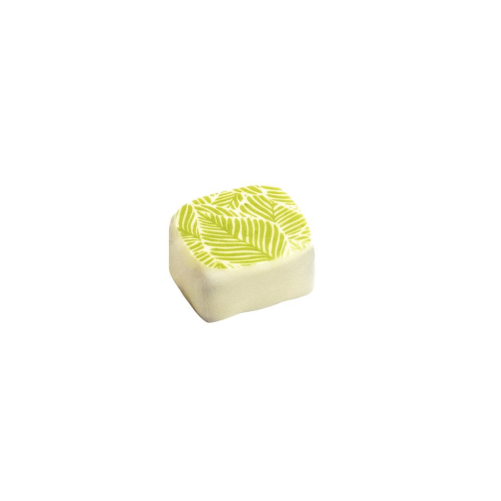 CARLINE HERFSTBLAADJES WIT PISTACHE MARSEPEIN 1 KG