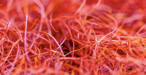 BOHEMER CHILI STRINGS 100GR