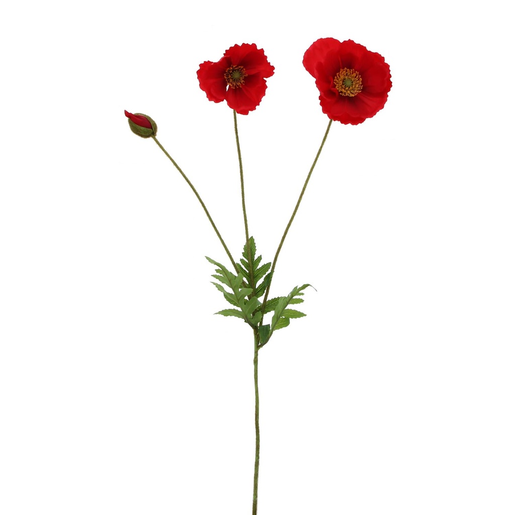 #VERP - TAK BLOEMEN POPPY 4 ST