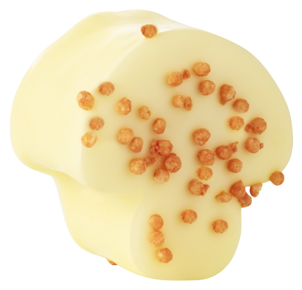 PIEROT CHAMPIGNON BLANC 1,5KG