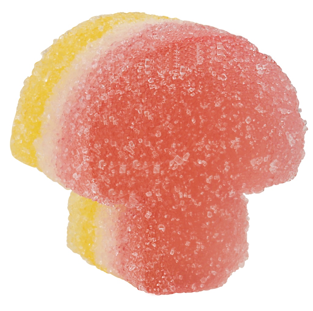 PIEROT PADDENSTOEL TRICO 3KG