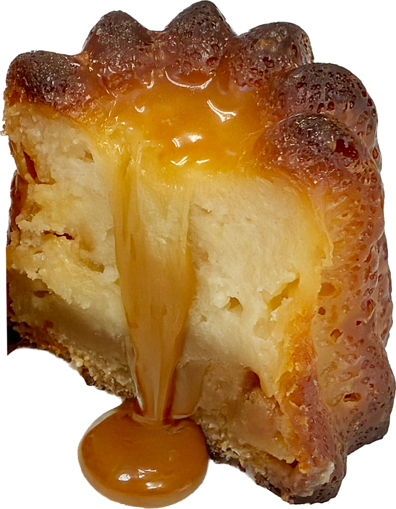 [MDCH062] CDB CANNELES DE BORDEAUX GROOT CARAMEL 40 ST <*_*>