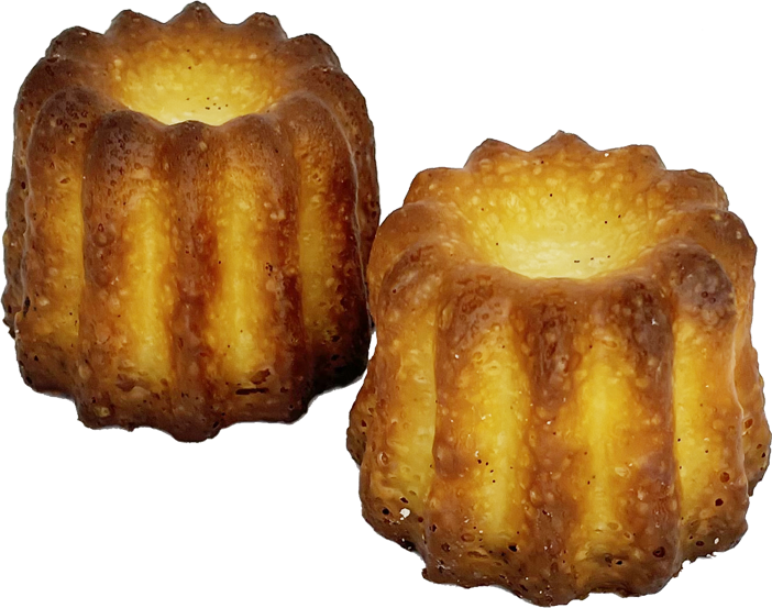 CDB CANNELES DE BORDEAUX GROOT CARAMEL 40 ST <*_*>