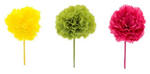 [BLO64006] #VERP - BLOEM ANJER ROOS/GEEL/GROEN 12st