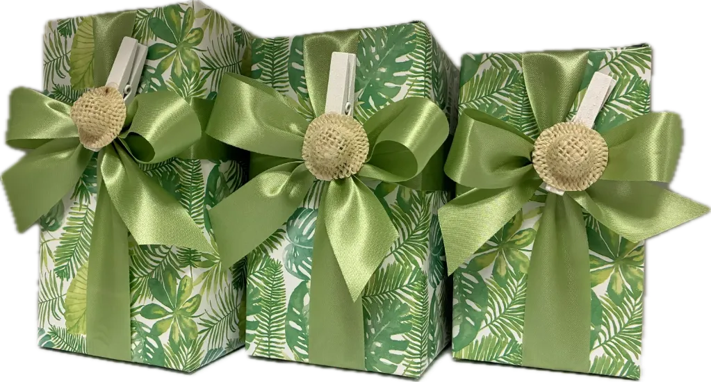 [DC081LE] DELICE BALLOTIN PRALINES 375GR X 5 STUKS LENTE (15/04-30/08)