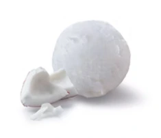 PAGOTINI SORBET KOKOS 2.5L <*_*>