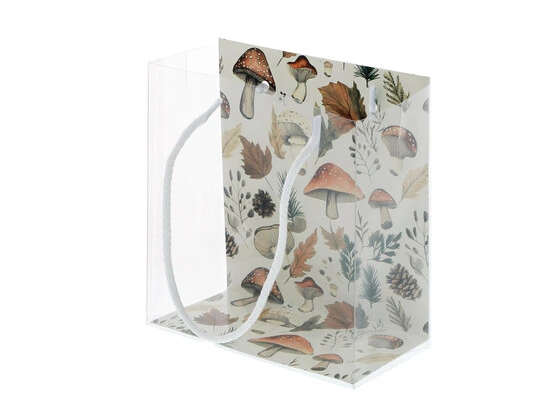 [HER46222/14] #VERP - DRAAGTAS PLEXI PADDENSTOELEN MIX 10st