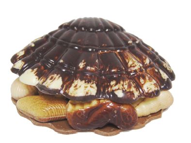 [18603] SINT JACOBSSCHELP GEVULD 300 GR X 10 STUKS