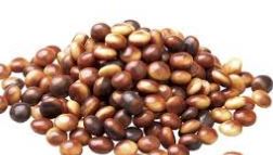 CALLEBAUT SENSATION GEMARBREERD 2,5KG (4)