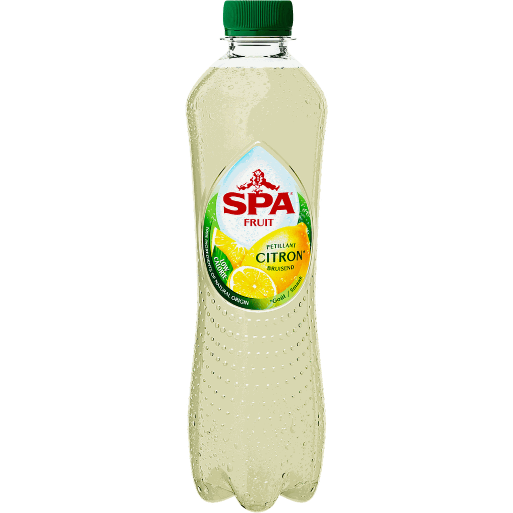 SPA FRUIT CITRON  24 X 0,4 L