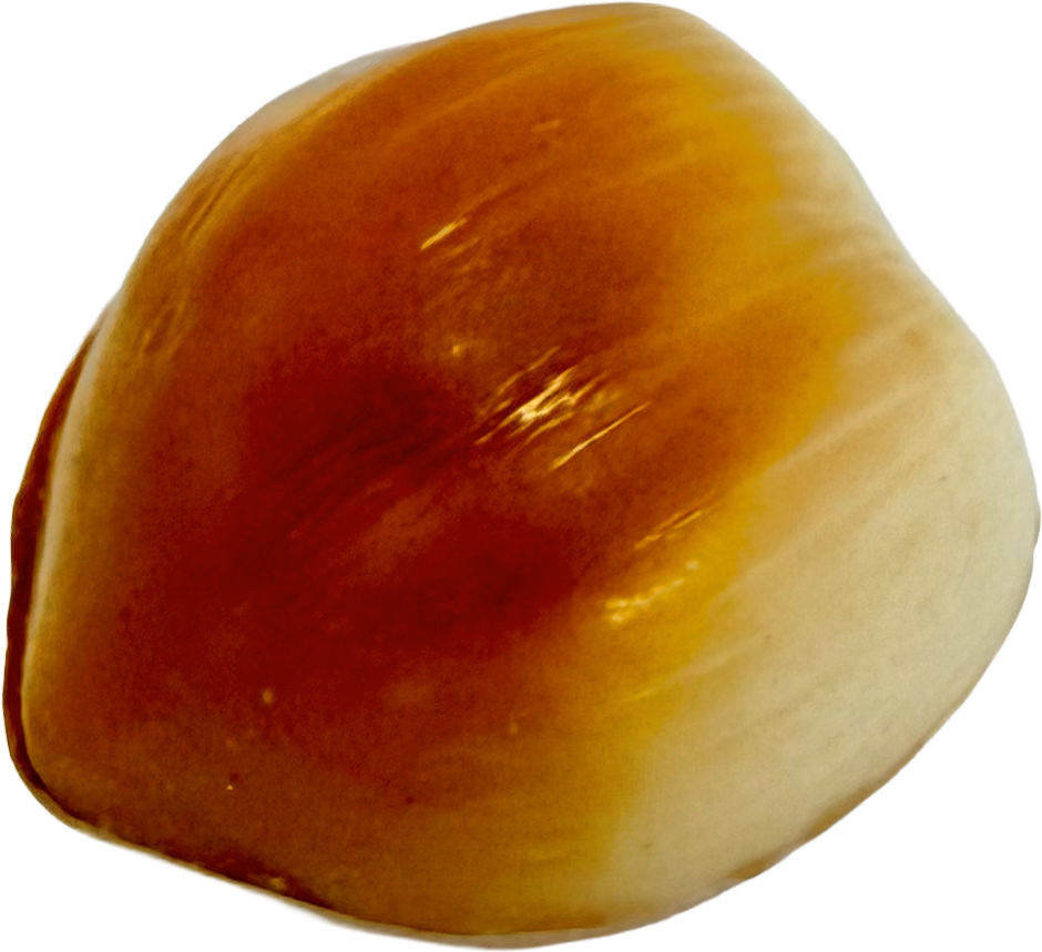 VC HAZELNOOT WIT 1,25 KG