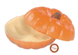 [HHO03] BGL OPVUL POMPOEN ORANJE 3 ST