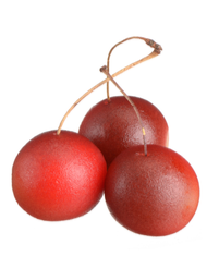 LAMS CERISES AVEC TIGE 1 KG