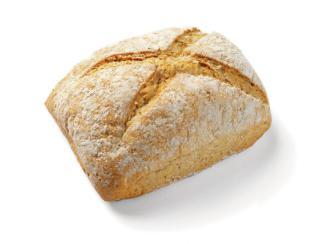[12600001] PASTRIDOR RECHTH HOEVEBROOD WIT 10X400 (12600001) <*_*>