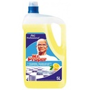 MR PROPER LEMON 5L (3)