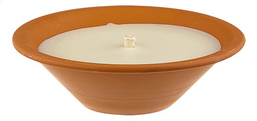 [92706] SPAAS ROYAL FLAME TUINKAARS 1ST - 23,5 CM